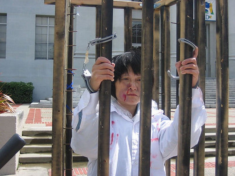 Celosvetovú štafetu s pochodňou za ľudské práva organizuje Výbor pre vyšetrovanie prenasledovania prívržencov hnutia Falun Gong v Číne (CIPFG)